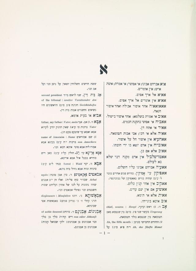 img12.jpg
