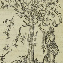 Hebraica Veritas?